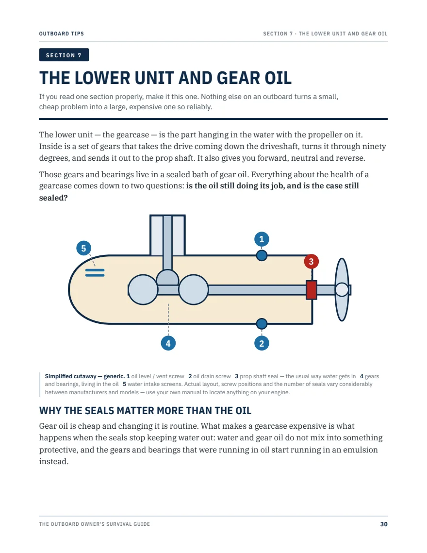 Sample page: a labelled cutaway diagram of an outboard lower unit showing the oil level screw, drain screw, prop shaft seal, gears and water intake screens